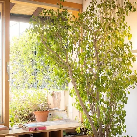 Design Duplex Penthouse With Terrace And Elevator In Monti Apartamento Roma
